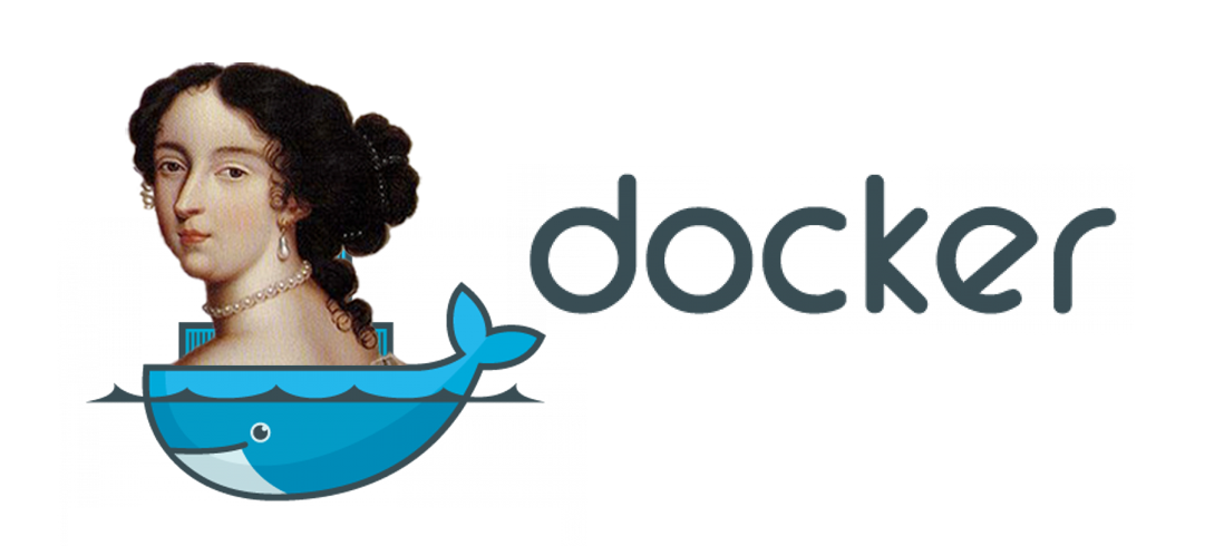 Docker IDA